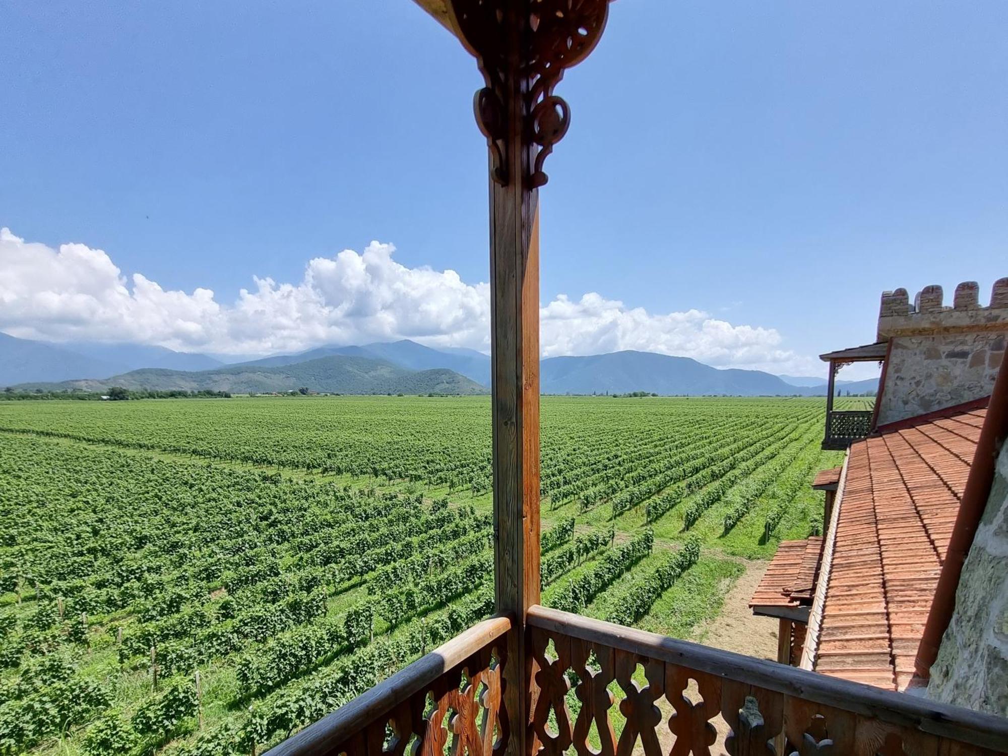 Chateau Davitiani Shilda Habitación foto